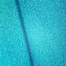 Load image into Gallery viewer, Prepared Microscope Slide, Elodea Leaf, w.m.