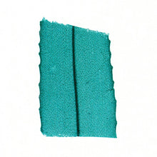 Load image into Gallery viewer, Prepared Microscope Slide, Elodea Leaf, w.m.