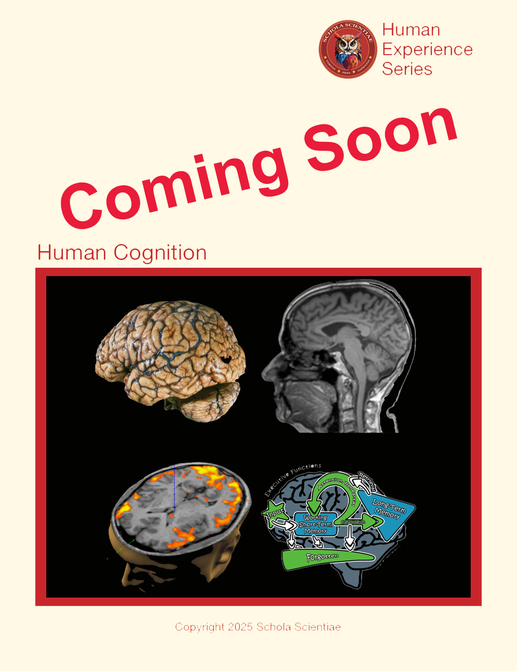 Human Cognition
