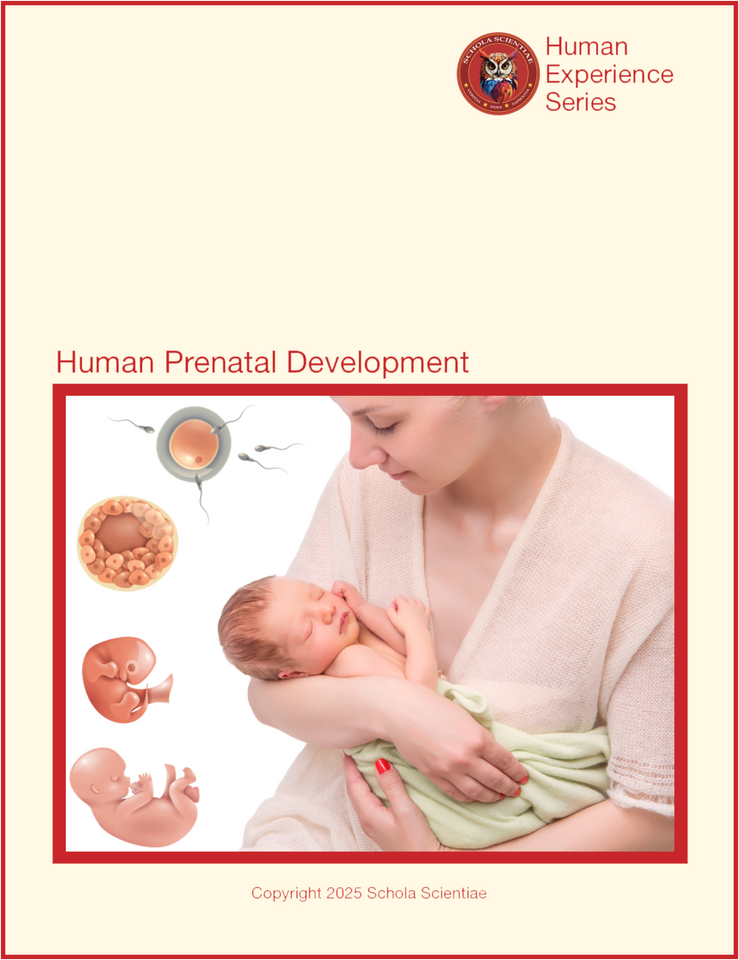 HPD_Cover copy 2.png__PID:87115460-6360-430e-8971-c5d29a301dfd