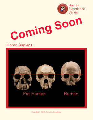 Homo Sapiens