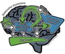 Load image into Gallery viewer, Human Cognition