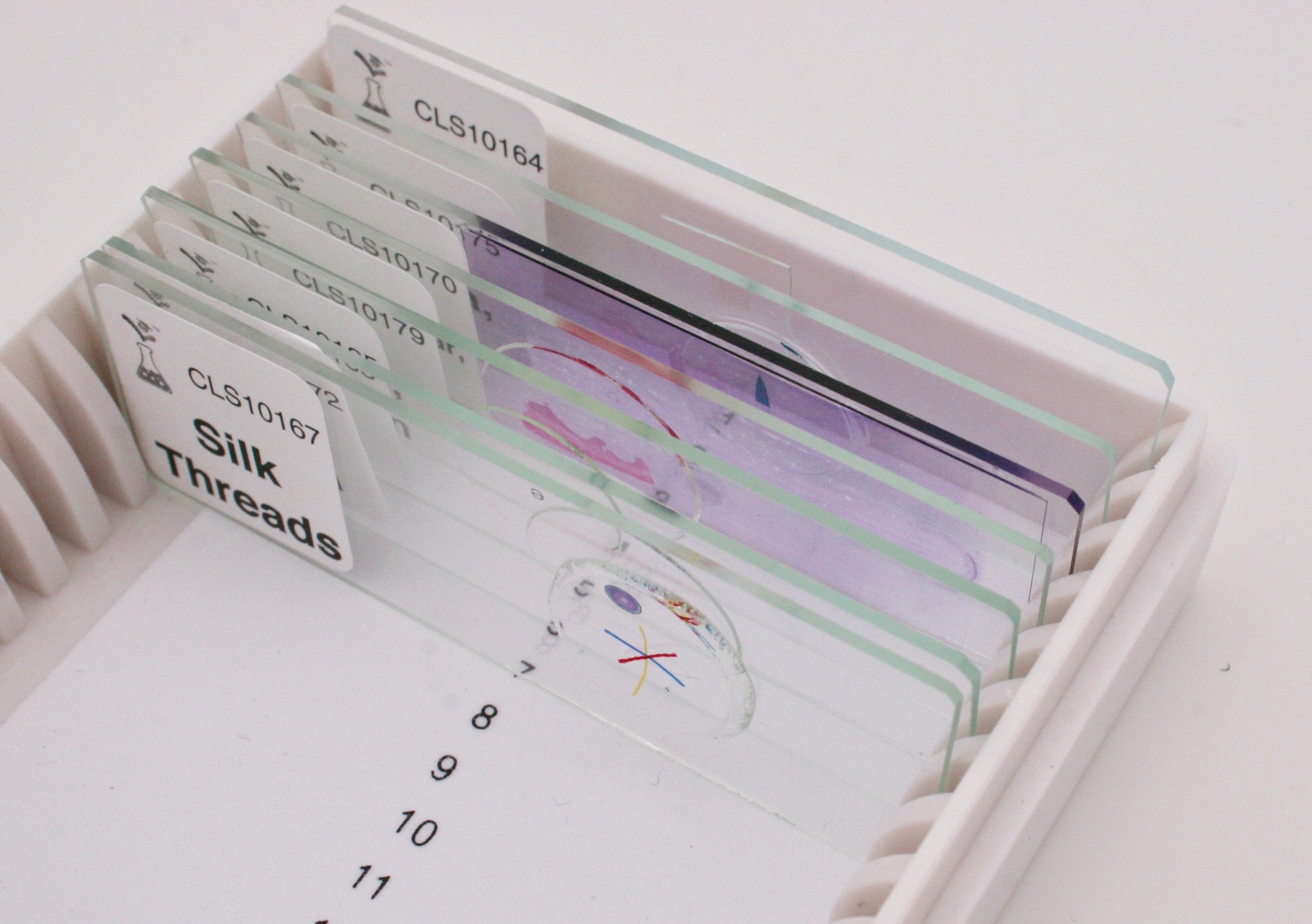 Microscope Slide Kit/Set - Elementary School Grades (1 slide each ...