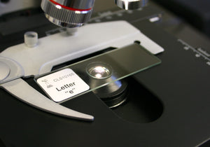 Prepared Microscope Slide, Letter "e"
