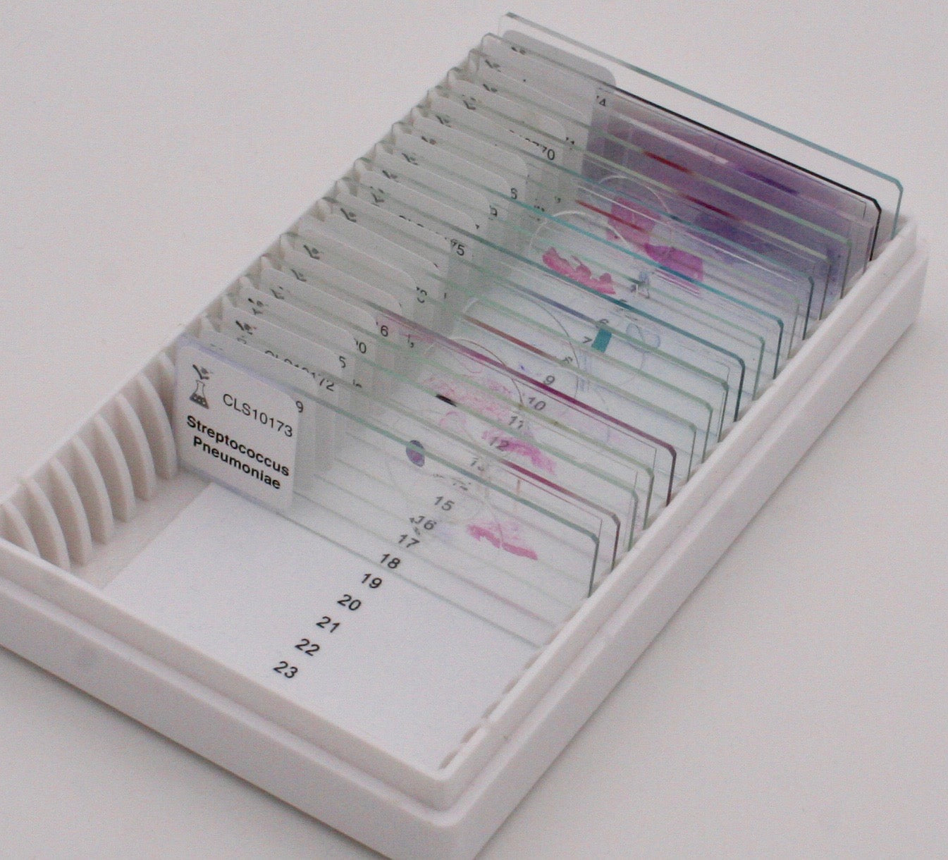 Microscope Slide Storage Box – lablearner.com