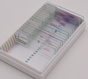Microscope Slide Storage Box