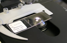 Load image into Gallery viewer, Prepared Microscope Slide, Human Breast, Mammary Gland, Lactating, H&amp;E
