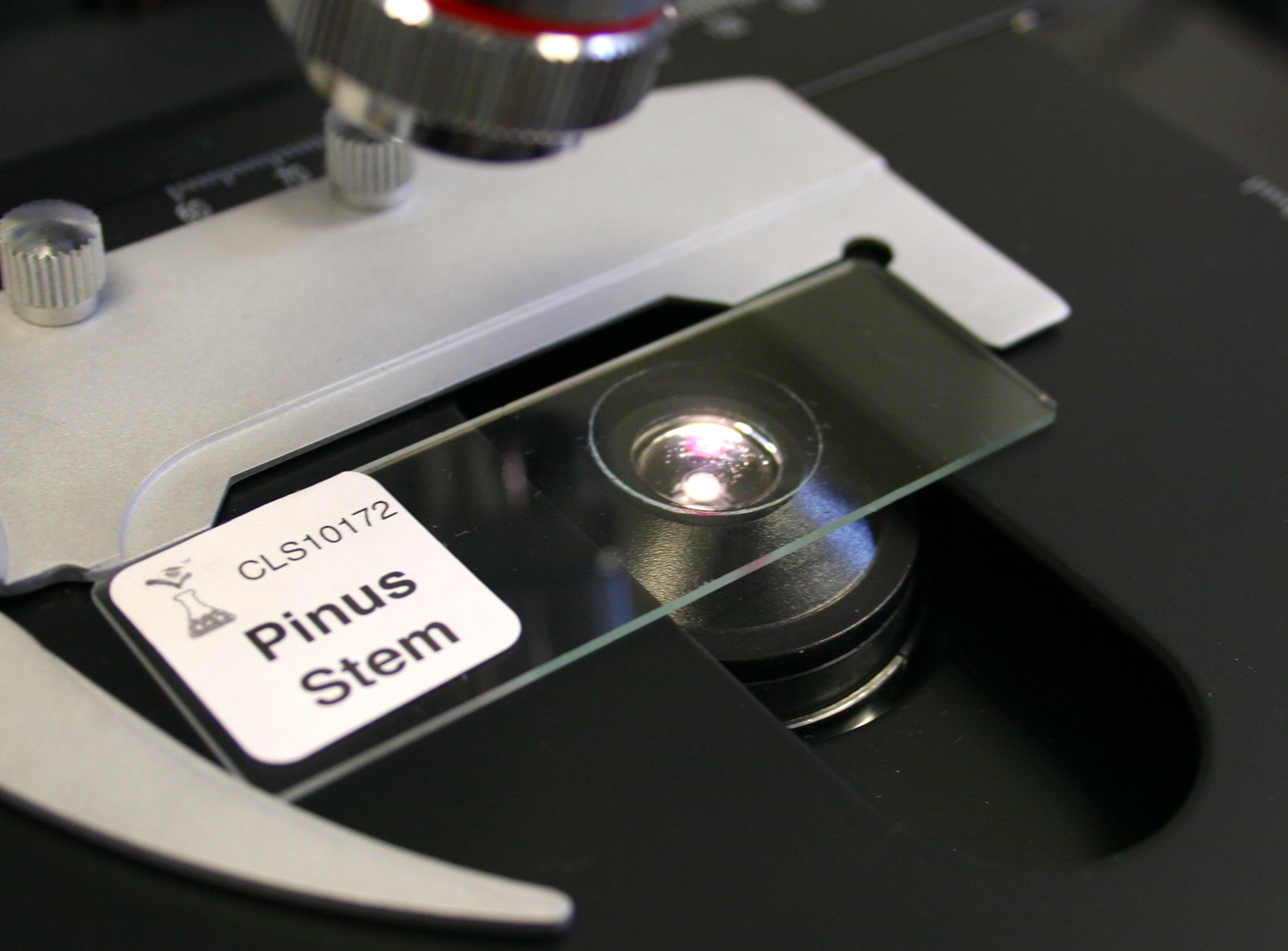 Prepared Microscope Slide, Pinus Stem One-Year Stem, c.s. – lablearner.com