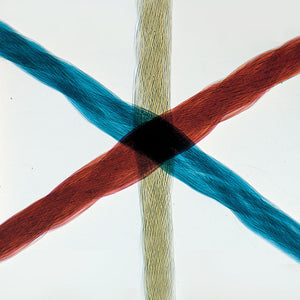 Prepared Microscope Slide, Silk Threads