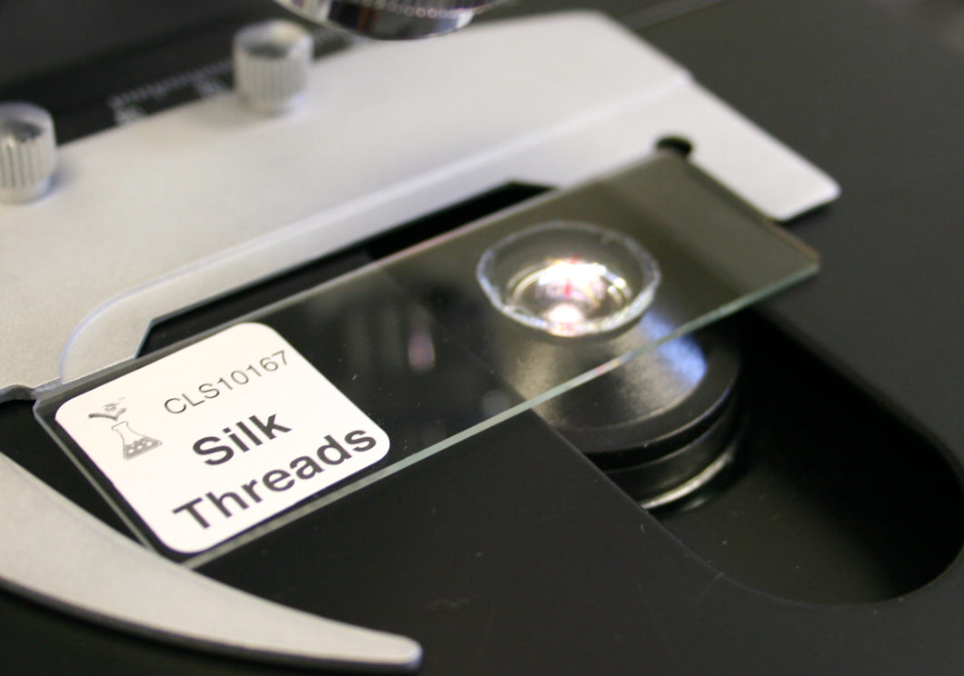Prepared Microscope Slide, Silk Threads